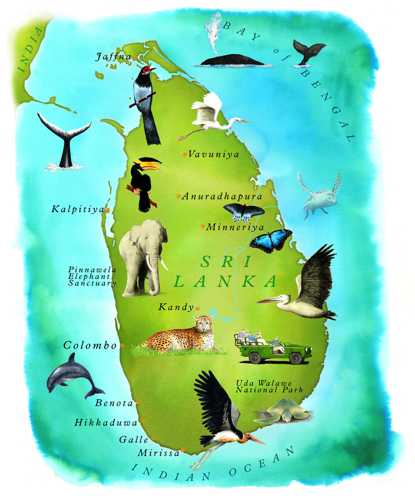 viaje a sri lanka y maldivas